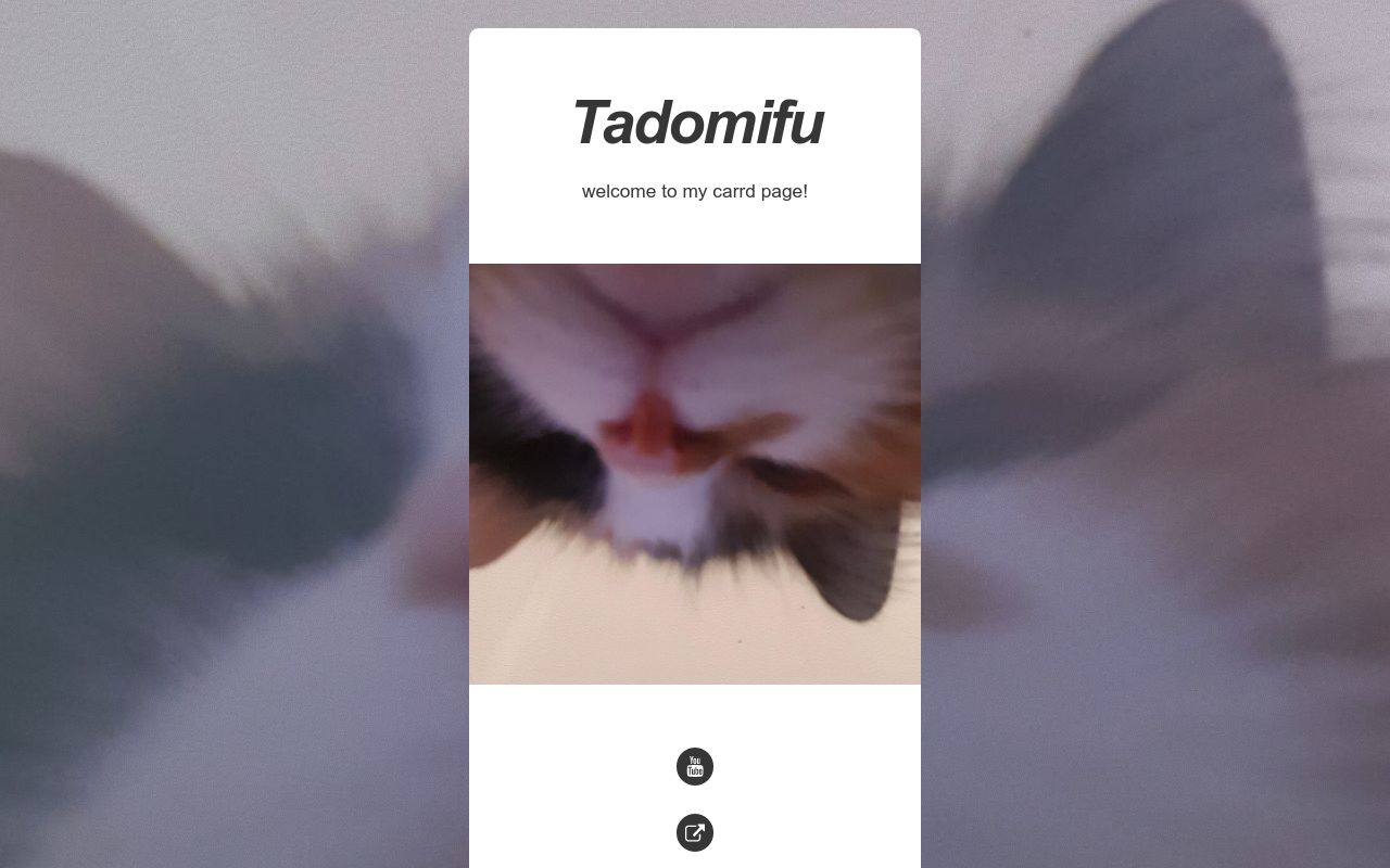 Carrd profile picture for @tadomifu